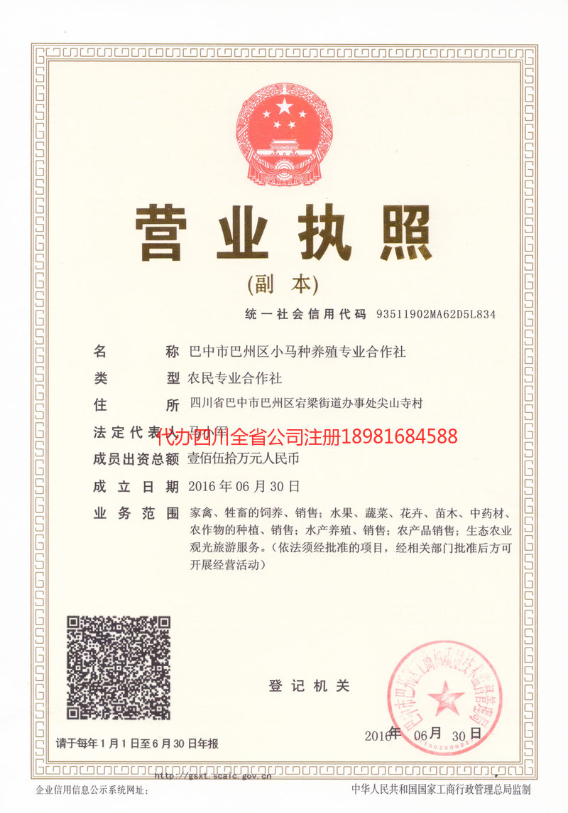 如皋如皋小马种养殖专业合作社